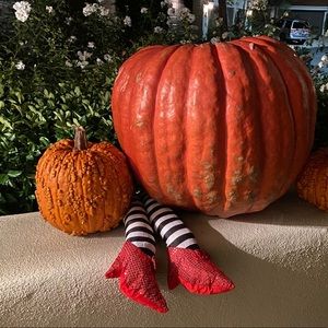 Meet your Posher, Sj